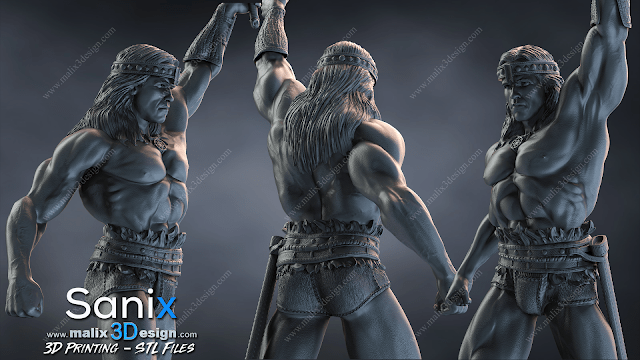 Conan - Sanix3D - Dark Forge Arts