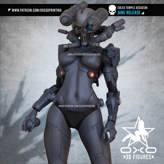 Culex Assassin - OXO3D - Dark Forge Arts