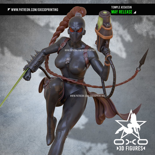Calli Temple Assassin - OXO3D - Dark Forge Arts