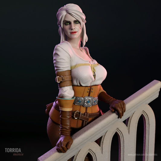 Ciri - Torrida Minis - Dark Forge Arts